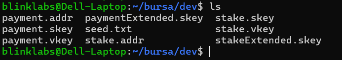 bursa-wallet-files